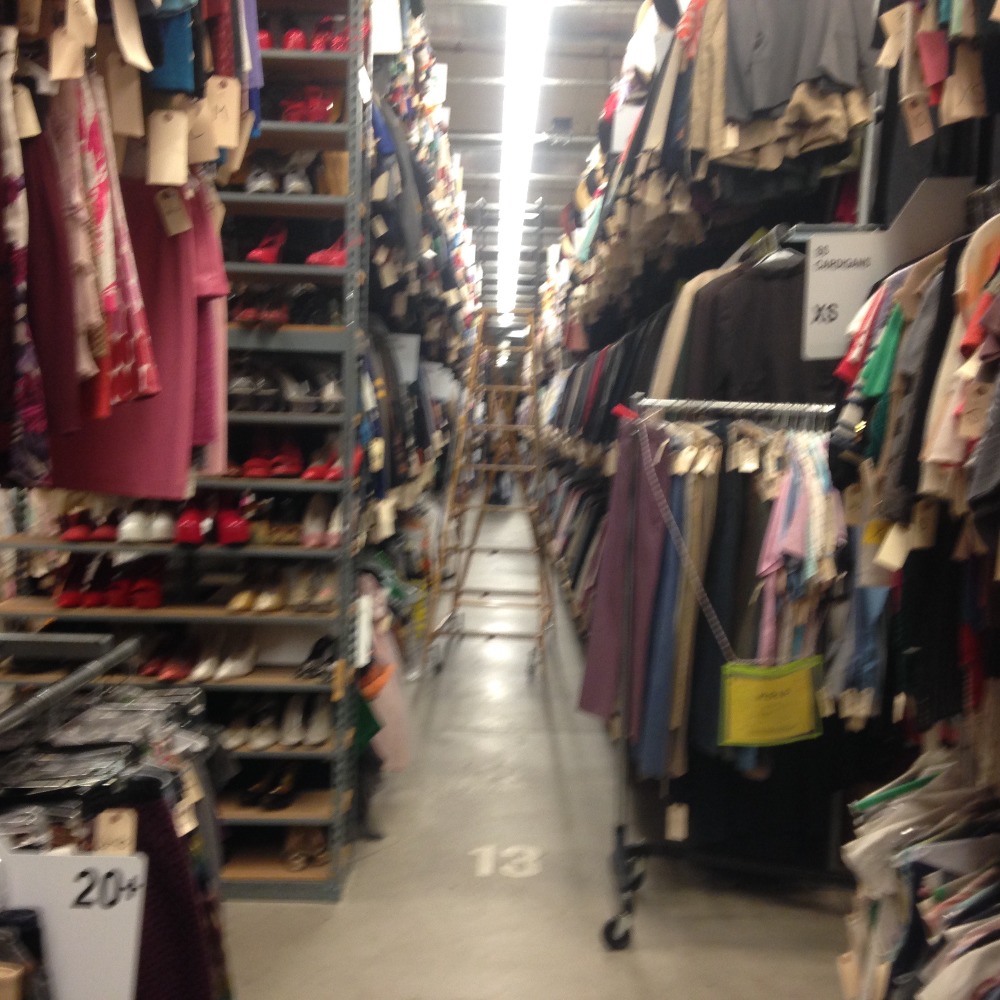 Meet your Posher, Hollie